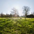 Apfelgarten Hundisburg (360°-Ansicht)