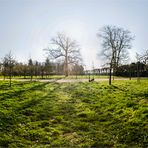 Apfelgarten Hundisburg (360°-Ansicht)