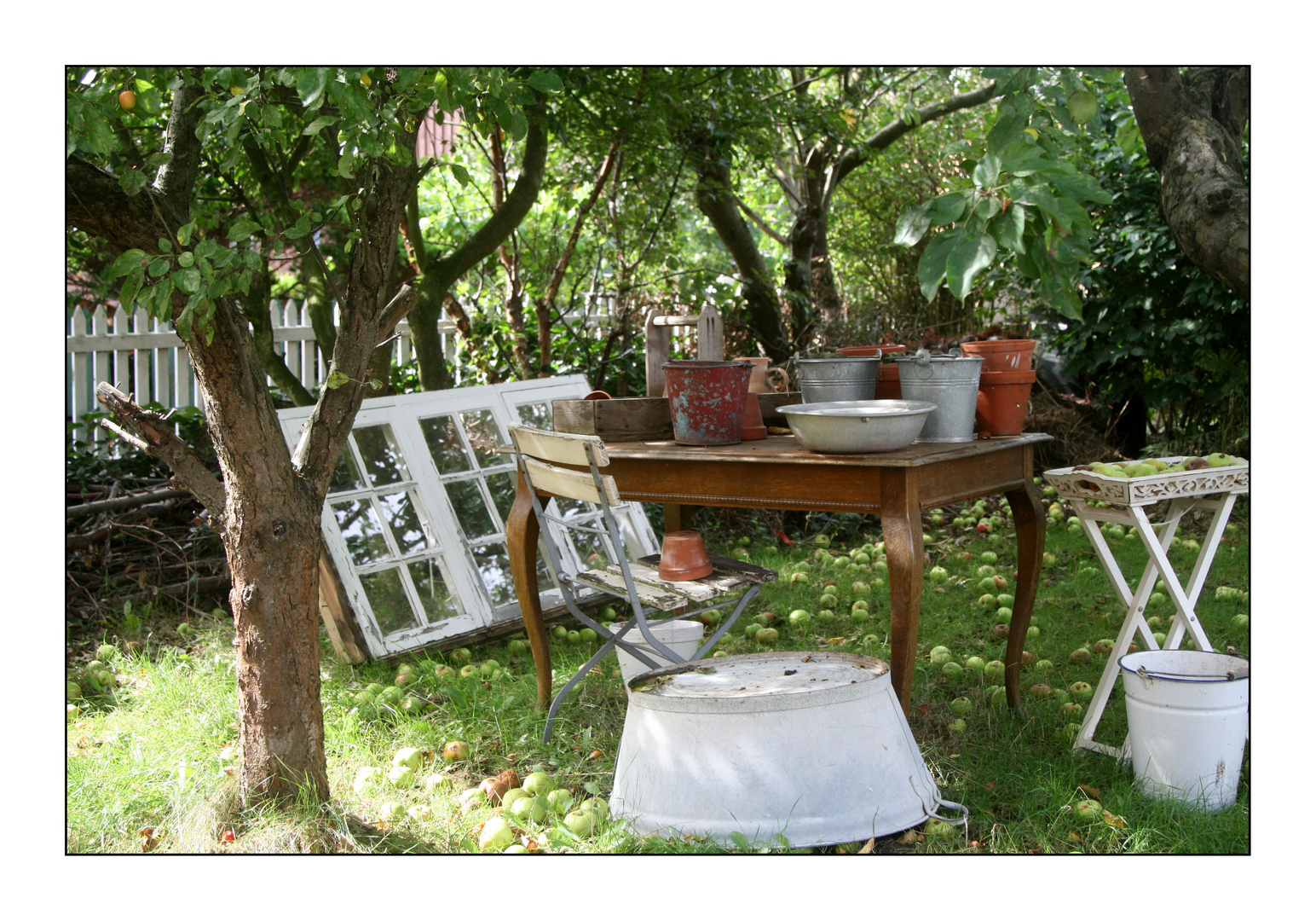 Apfelgarten im Spätsommer