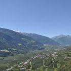 Apfelplantagen in Südtirol