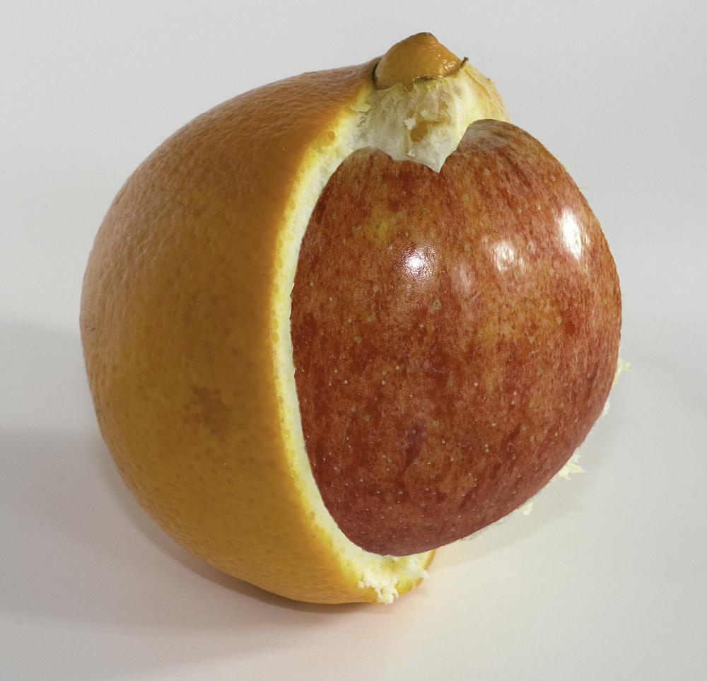 Apfelsine Foto & Bild stillleben, essen & trinken, obst & gemüse