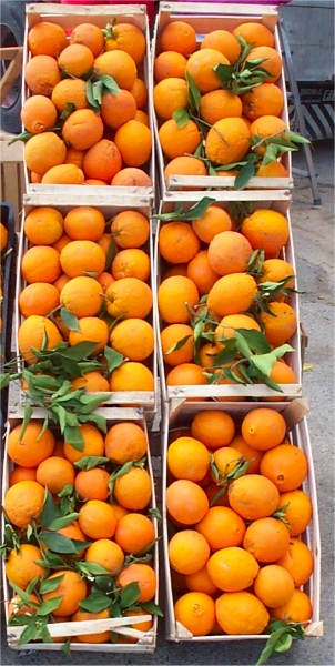 Apfelsinen am Marktstand