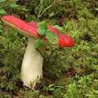 Apfeltäubling, Russula paludosa 