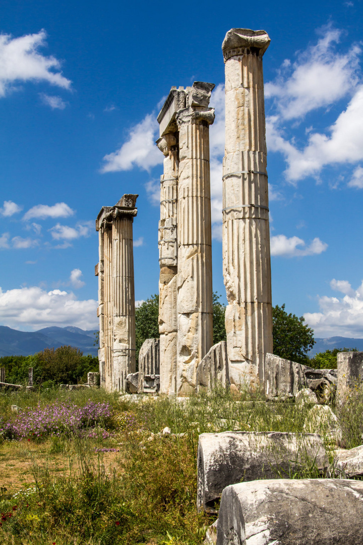 Aphrodisias - Antike Stadt im Südwesten der Türkei -3-