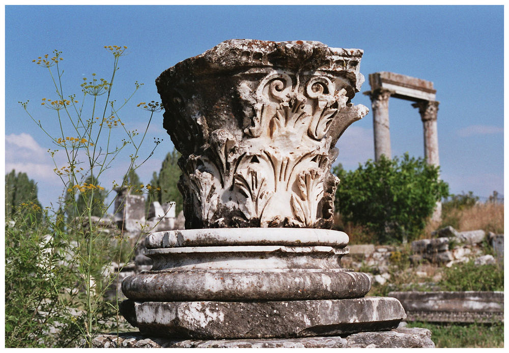 Aphrodisias II