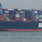  APL TEMASEK, Rotterdam.