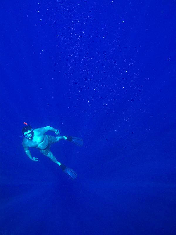 Apnoe Diving