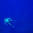 Apnoe Diving