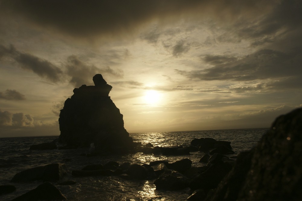 Apo Island 09'