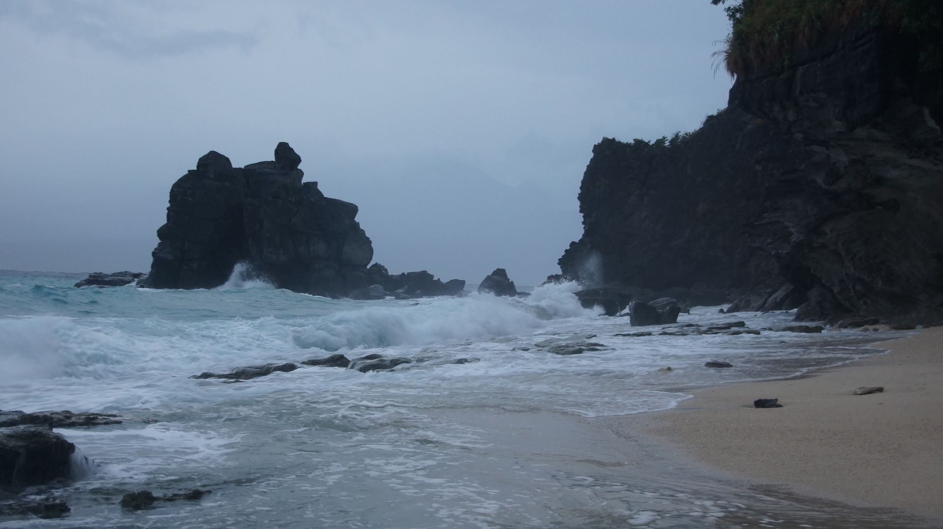 Apo Island