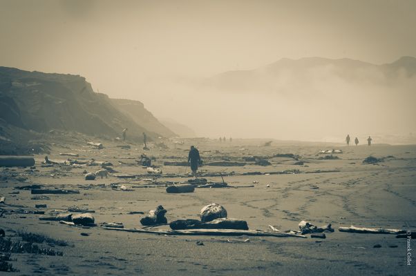 Apocalypse après la tempête / Apocalypse after the storm