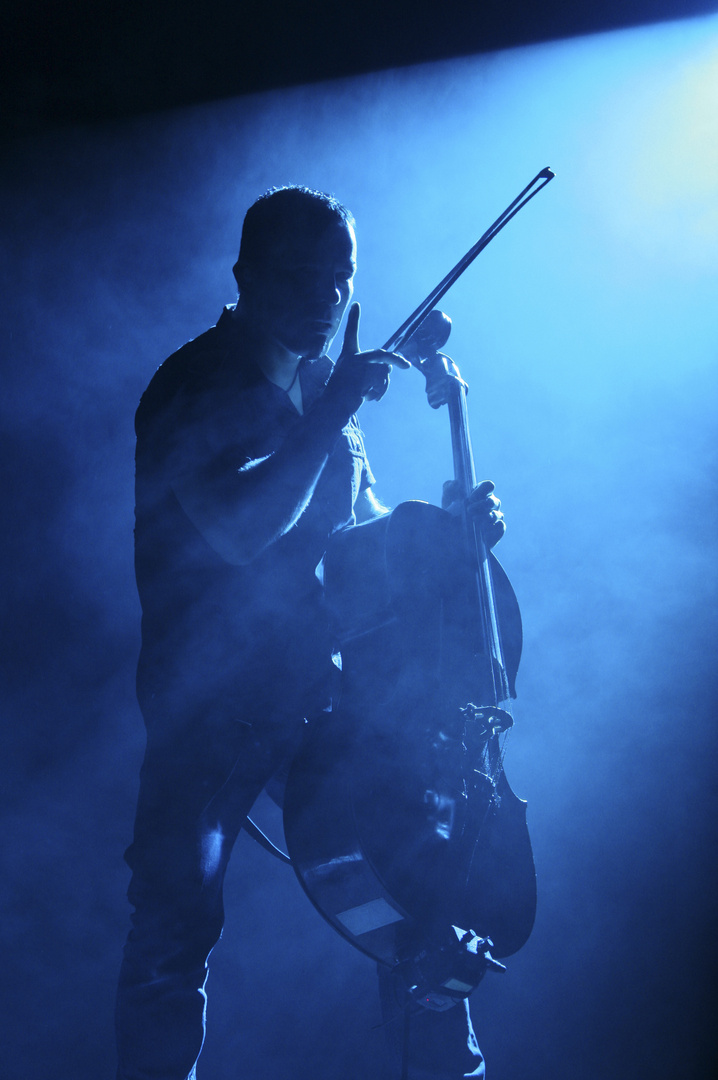 Apocalyptica 2011