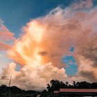 Apokalypse im Nationalpark Kinabalu