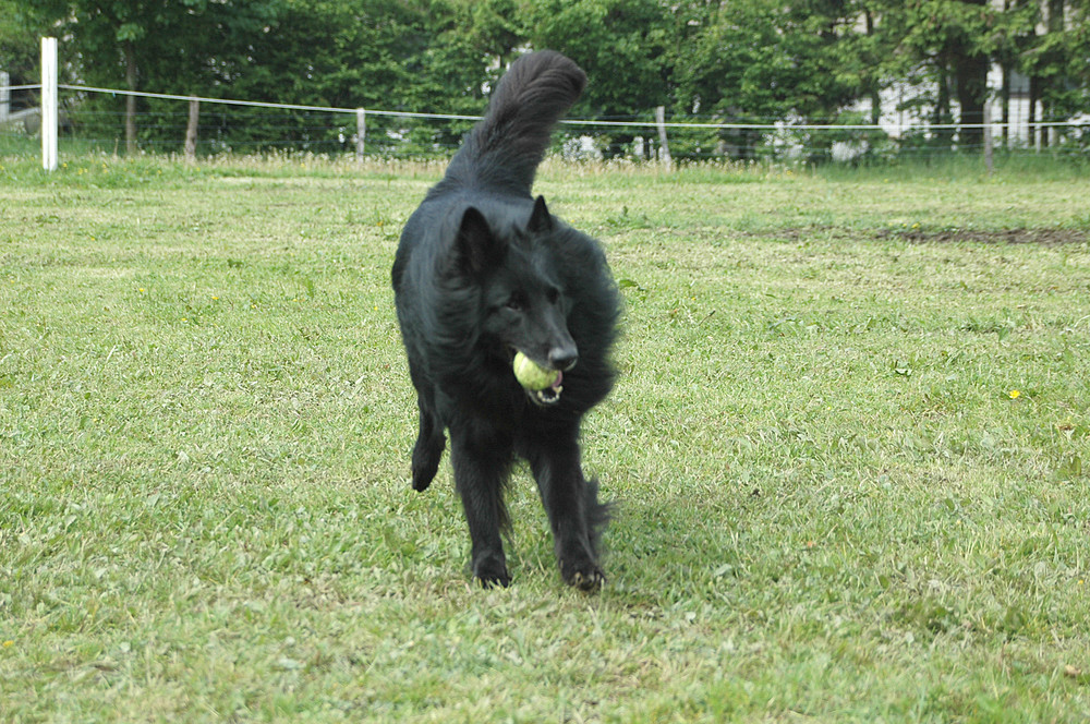 Apollo lauf und weg