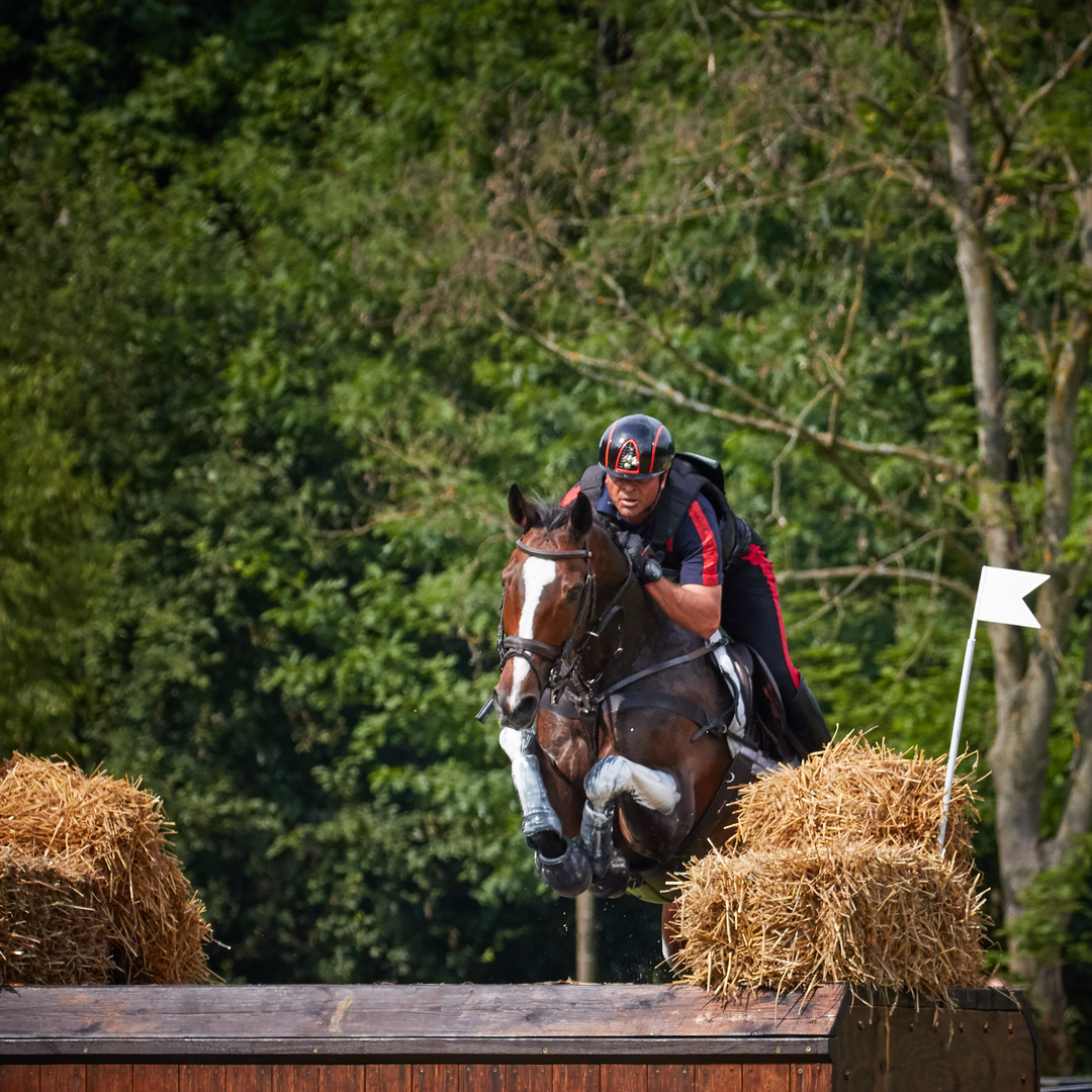 "Apollo van de Wendi Kurt Hoeve" unter Stefano BRECCIAROLI