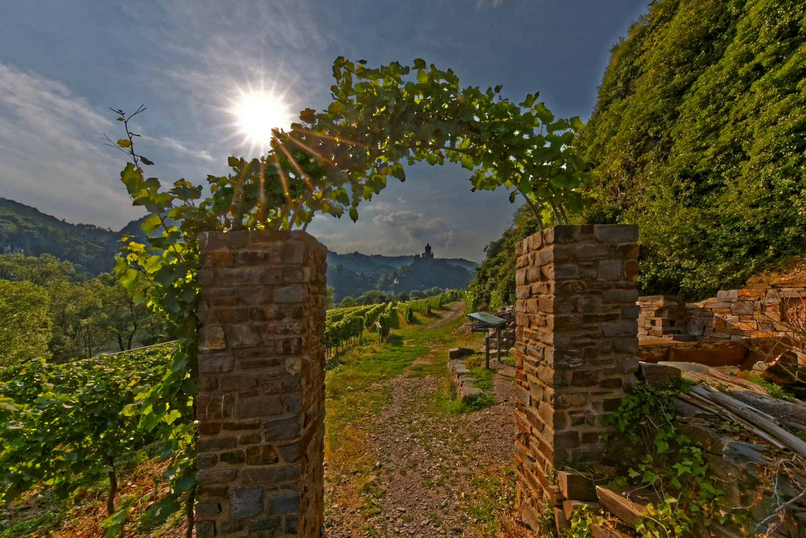 Apollofalter Wanderweg nach Valwig