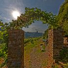 Apollofalter Wanderweg nach Valwig