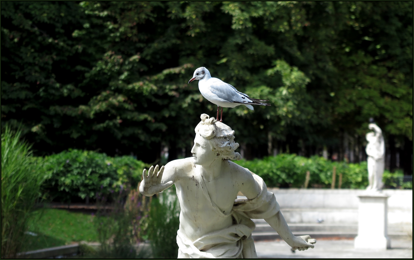 Apollon mit Möwe - Jardin des Tuileries - Paris