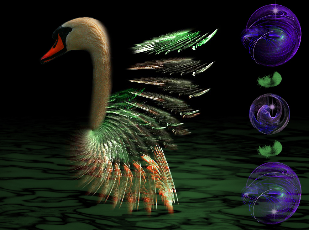 Apophysis ( Daraus kam mir die Idee einen Schwan zu zaubern und Kugeln)