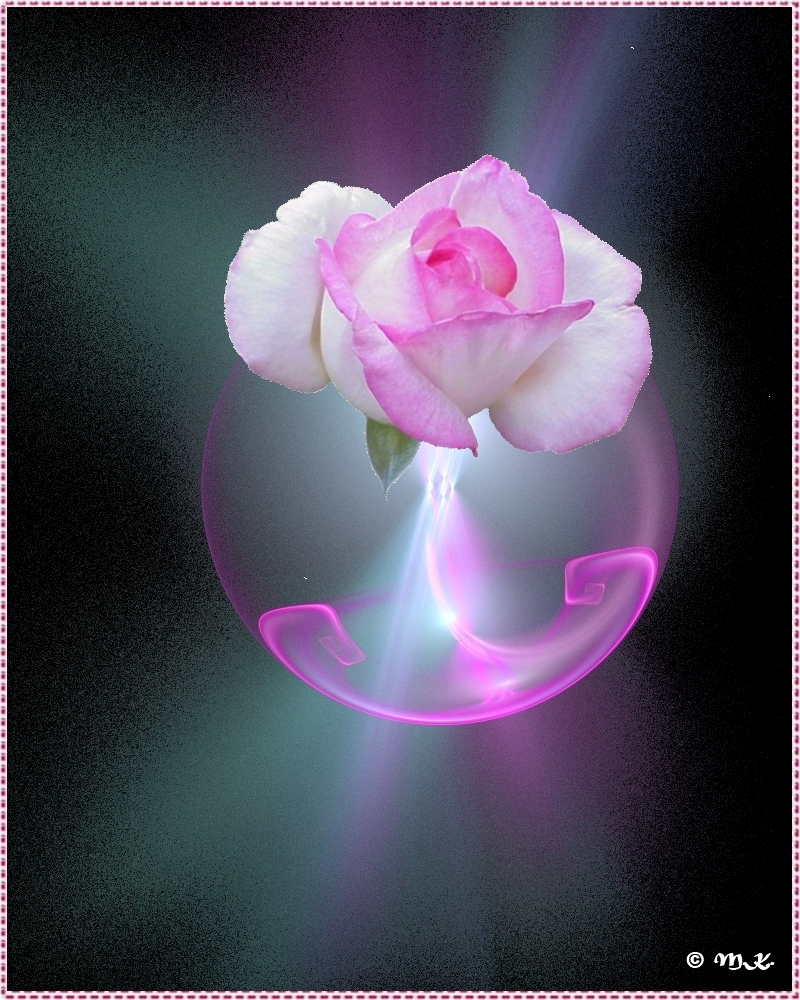 Apophysis mit Rose