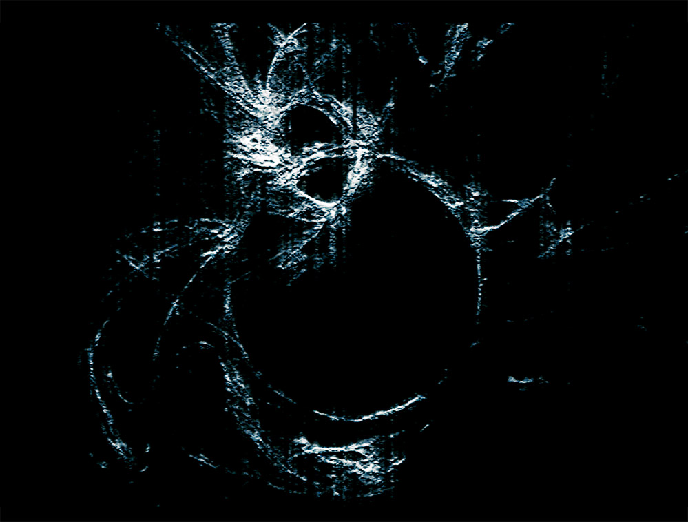 "Apophysis" Symbol of Fear