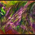 Apophysis und Photoshop 3