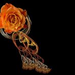 Apophysisblüten - Rose