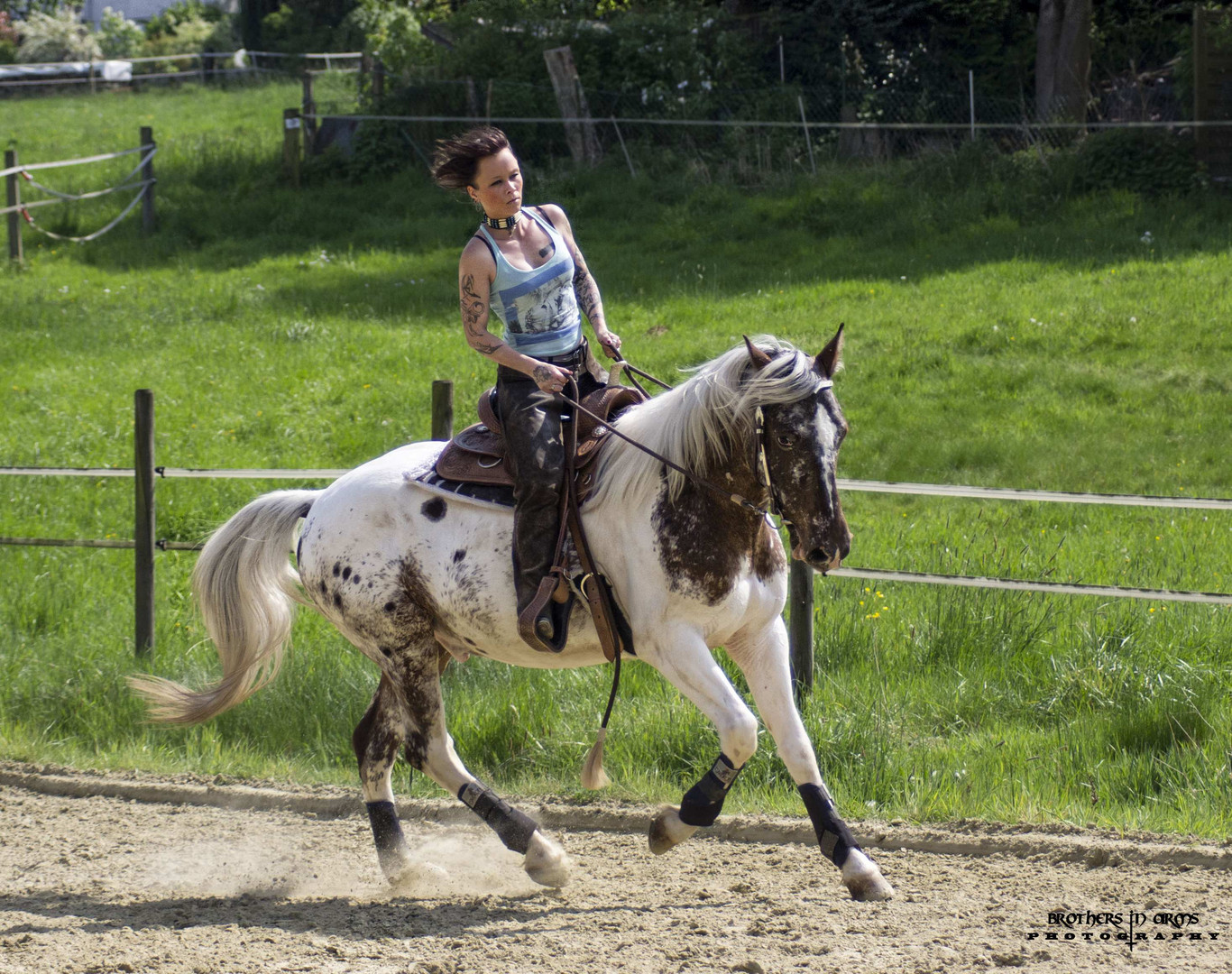 Appaloosa