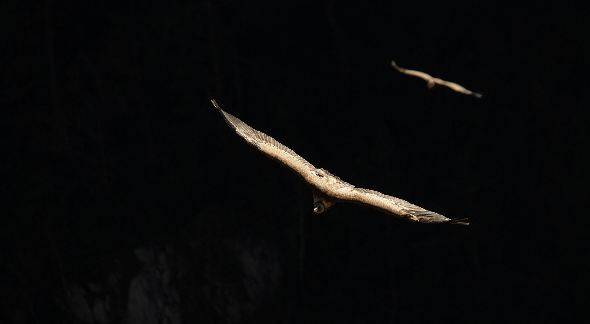 Apparition dans les gorges du verdon