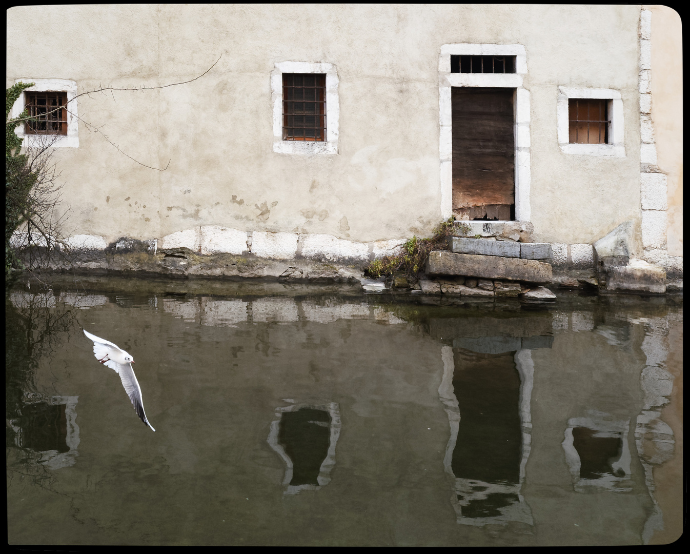 Appartement les pieds dans l'eau...