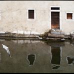 Appartement les pieds dans l'eau...