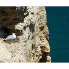 Appartment mit Blick auf den Ozean / Impressionen von der Algarve