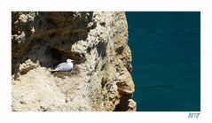 Appartment mit Blick auf den Ozean / Impressionen von der Algarve