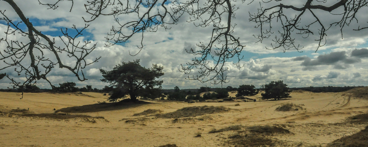 Appelscha - Kale Duinen