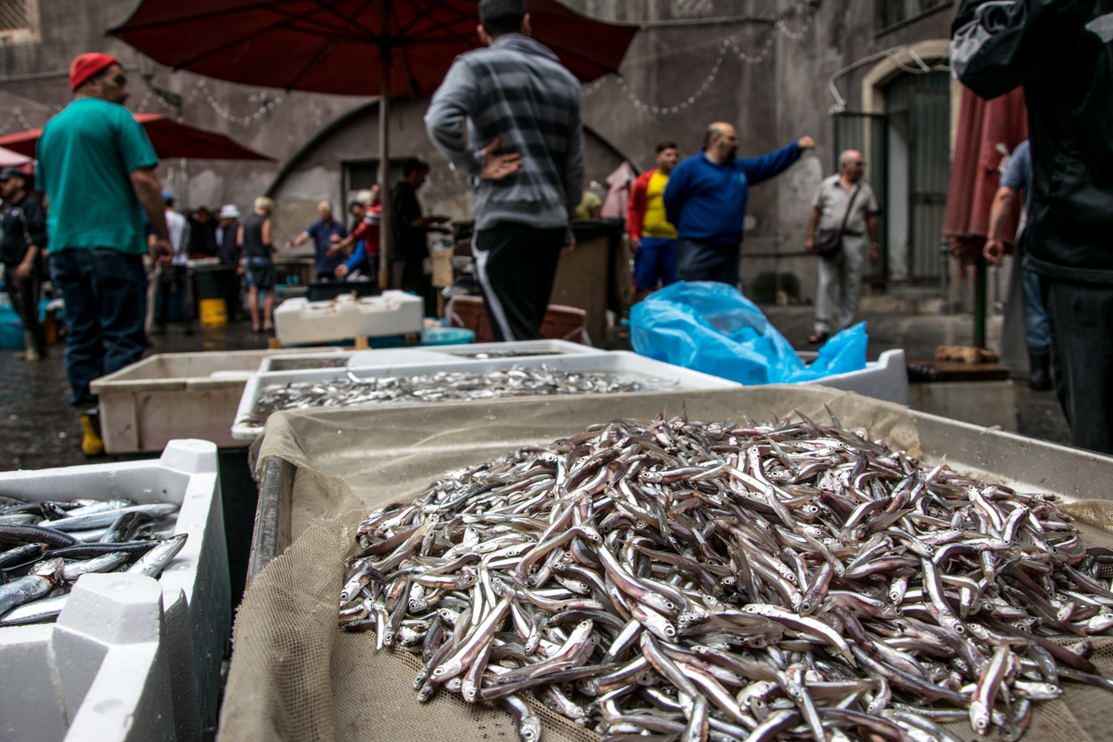 Appena pescati!!!