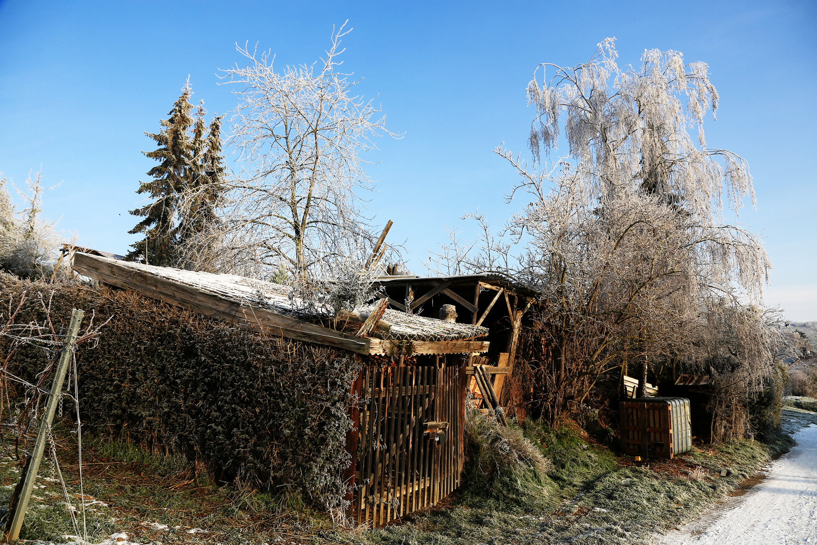 Appenheim Dezember 22 018