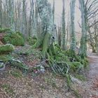 Appennino centrale. Regione Umbria