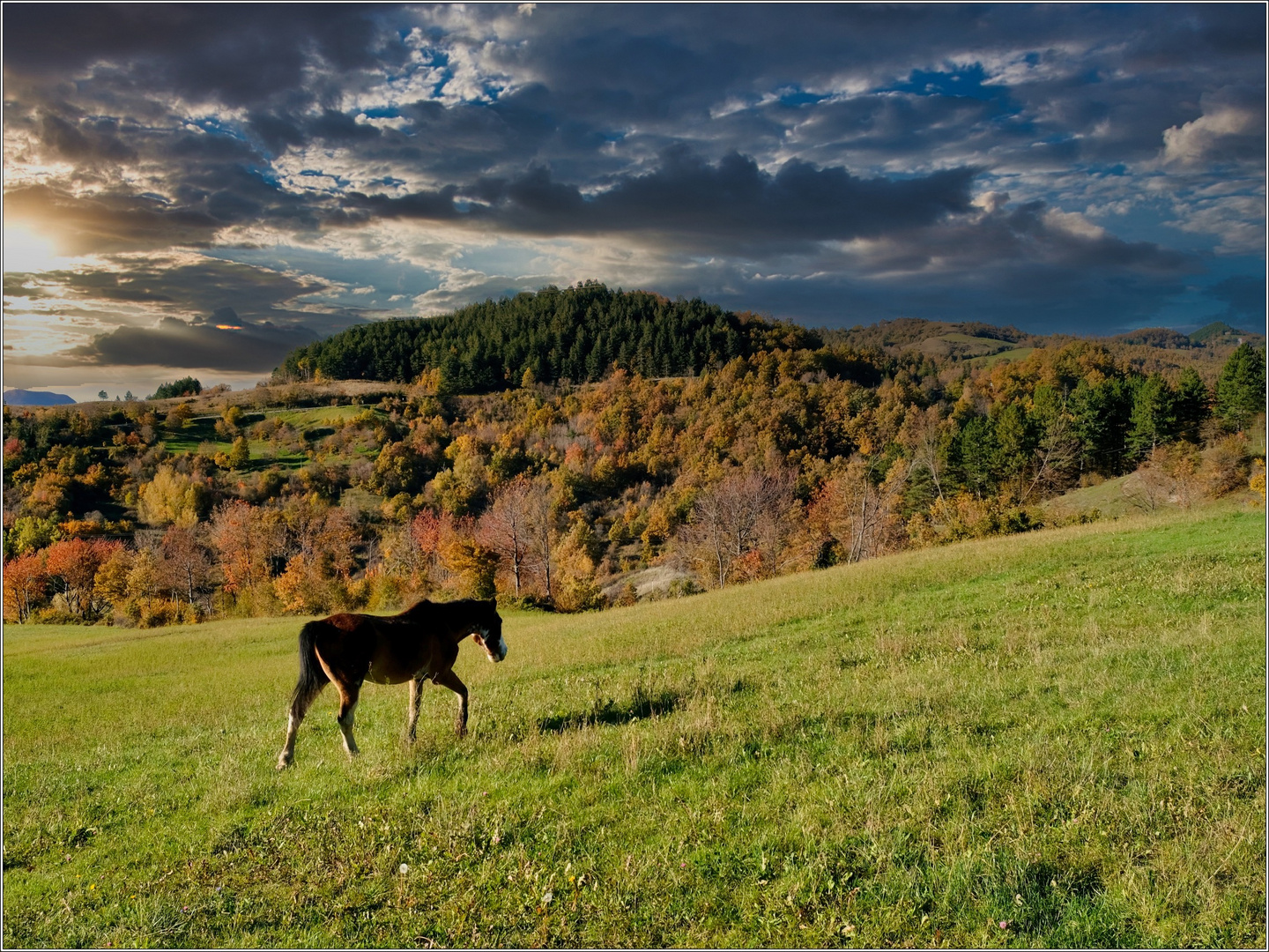 Appennino emiliano.