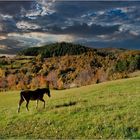 Appennino emiliano.