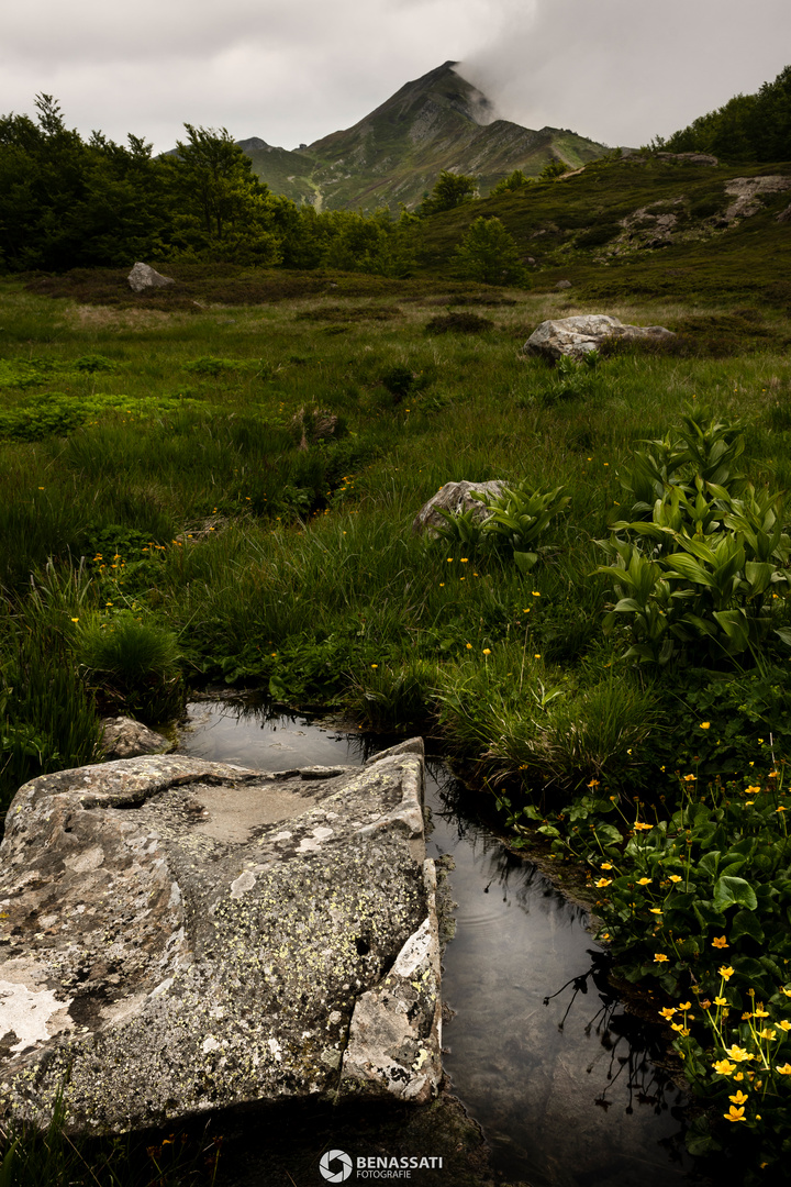 Appennino modenese