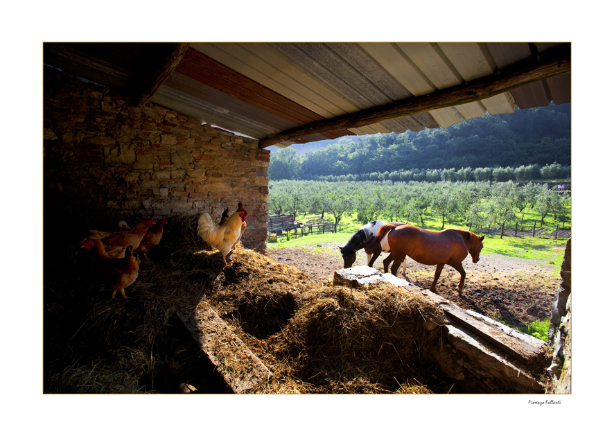 ....APPENNINO RURALE...