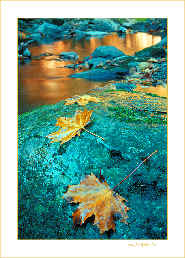 Appennino Tosco-Emiliano