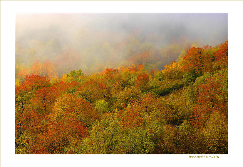 Appennino Tosco Emiliano - Val Bisenzio