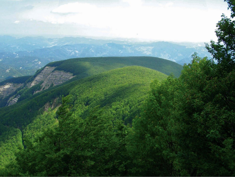 Appennino Tosco-Romagnolo