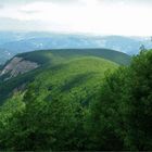 Appennino Tosco-Romagnolo