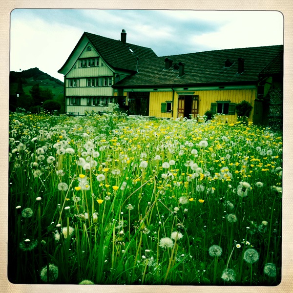 Appenzell