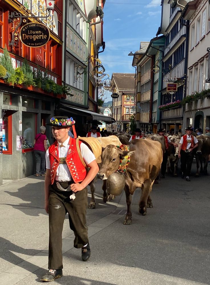 Appenzell Durchblick