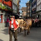 Appenzell Durchblick