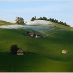 Appenzell Innerrhoder Vorwinterchen