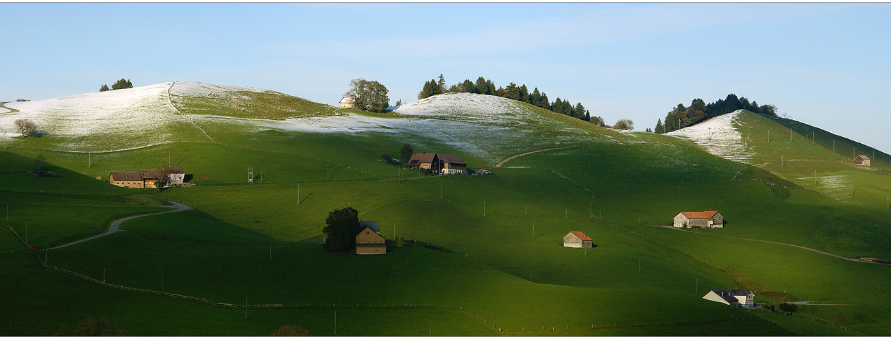 Appenzell Innerrhoder Vorwinterchen